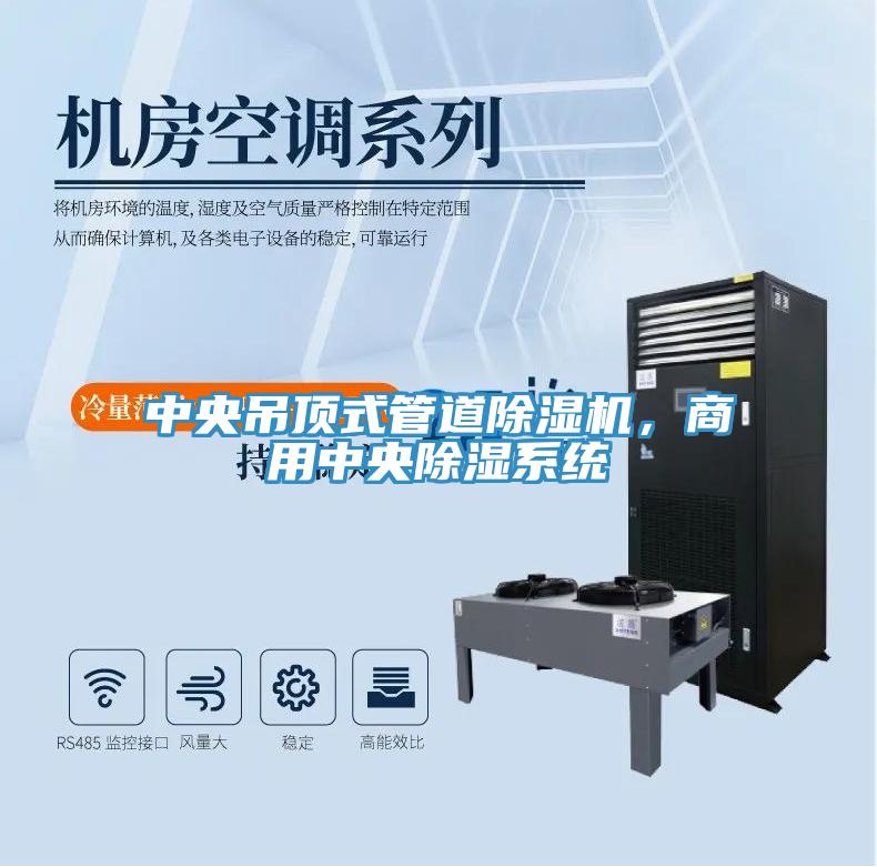 中央吊頂式管道除濕機,商用中央除濕系統