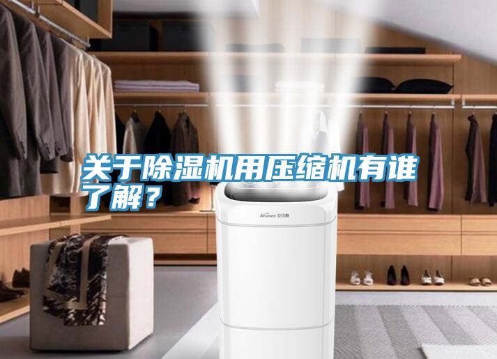 關于除濕機用壓縮機有誰了解？