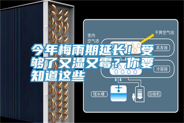 今年梅雨期延長！受夠了又濕又霉？你要知道這些