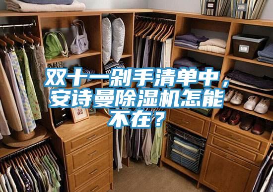 雙十一剁手清單中,安詩(shī)曼除濕機(jī)怎能不在?