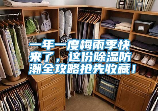 一年一度梅雨季快來(lái)了,這份除濕防潮全攻略搶先收藏!