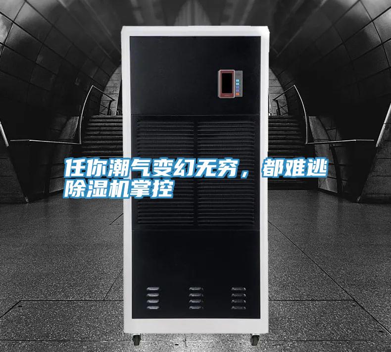 任你潮氣變幻無窮，都難逃除濕機掌控