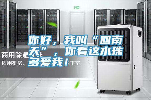 你好,我叫“回南天”,你看這水珠多愛我!