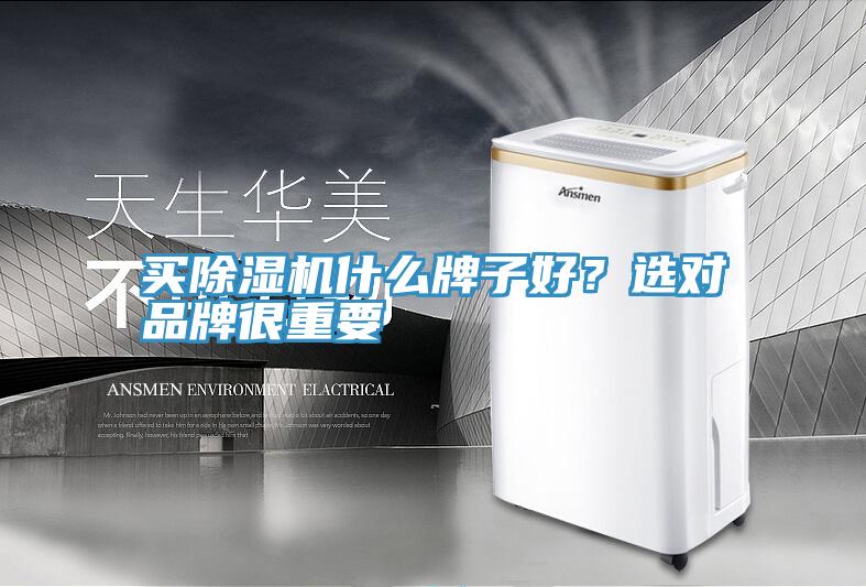 買除濕機(jī)什么牌子好?選對品牌很重要