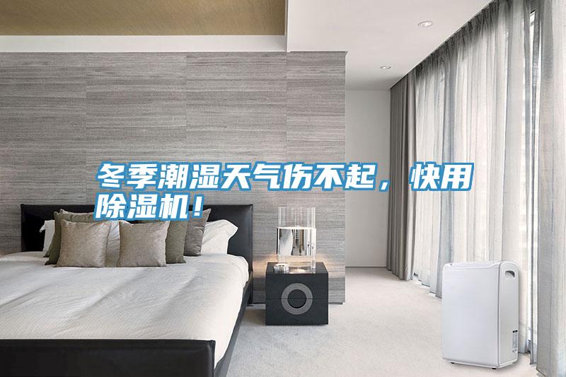 冬季潮濕天氣傷不起,快用除濕機!