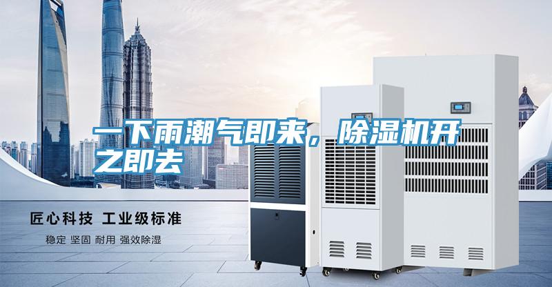 一下雨潮氣即來，除濕機開之即去