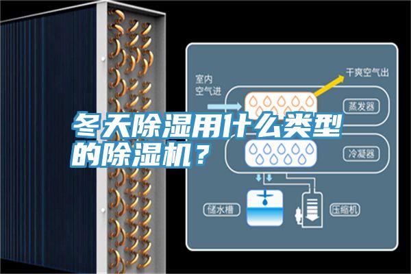 冬天除濕用什么類型的除濕機？