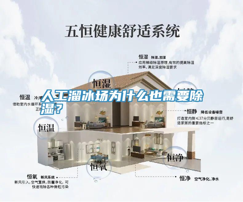 人工溜冰場為什么也需要除濕？