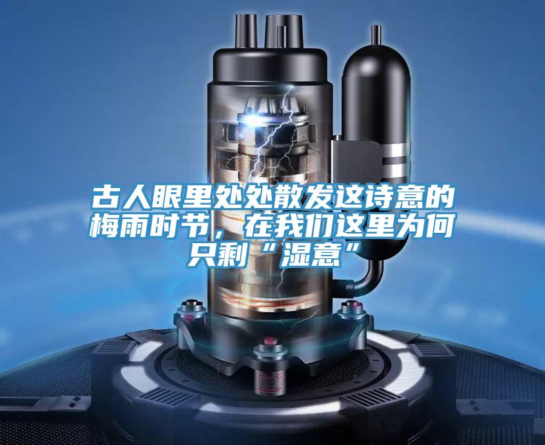 古人眼里處處散發(fā)這詩(shī)意的梅雨時(shí)節(jié),在我們這里為何只剩“濕意”