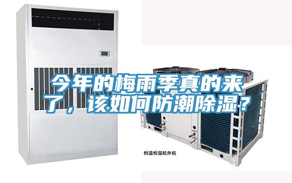 今年的梅雨季真的來了，該如何防潮除濕？