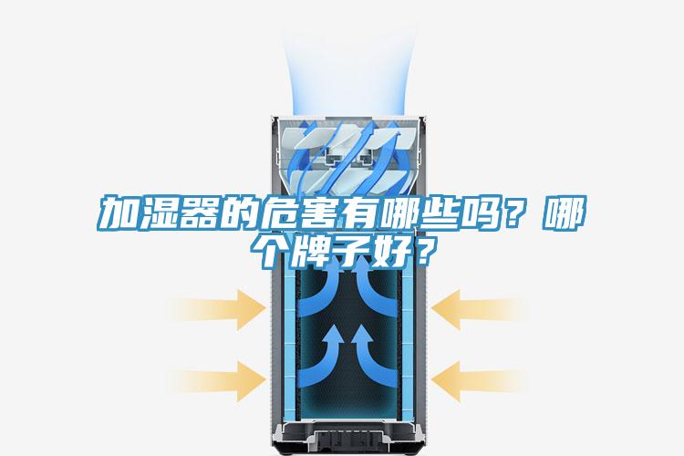 加濕器的危害有哪些嗎？哪個(gè)牌子好？