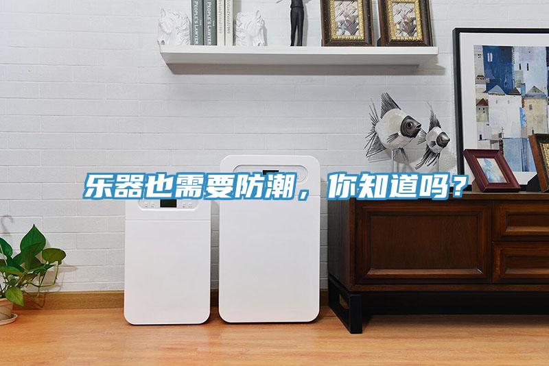 樂器也需要防潮,你知道嗎?