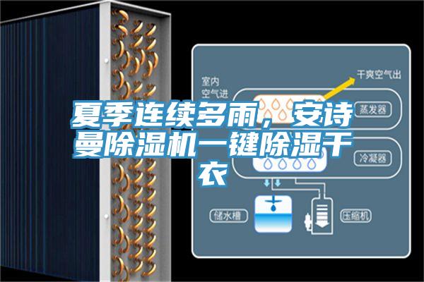 夏季連續多雨，安詩曼除濕機一鍵除濕干衣