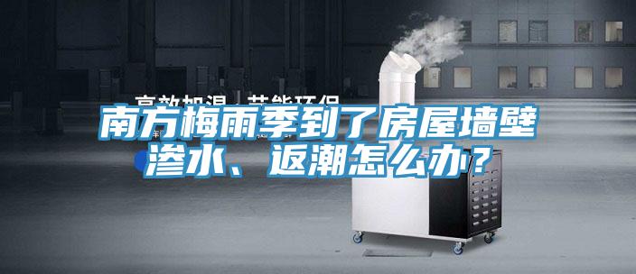 南方梅雨季到了房屋墻壁滲水、返潮怎么辦？