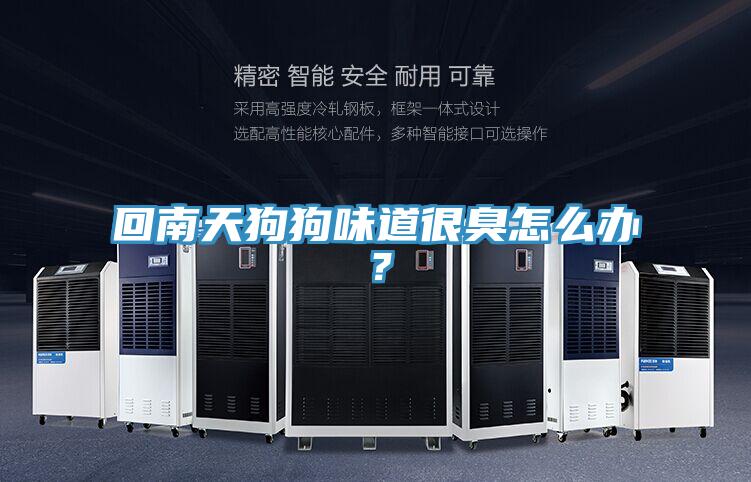 回南天狗狗味道很臭怎么辦?