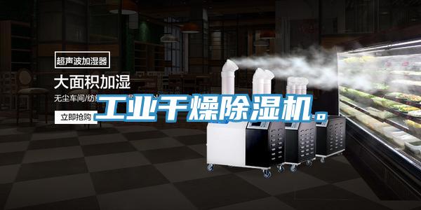 工業干燥除濕機。