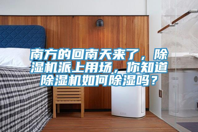 南方的回南天來了，除濕機派上用場，你知道除濕機如何除濕嗎？