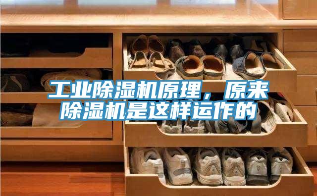 工業除濕機原理,原來除濕機是這樣運作的