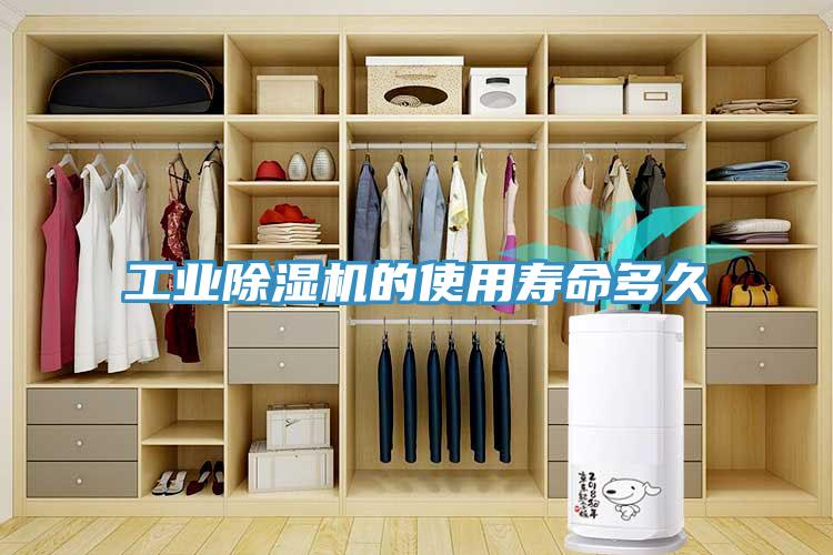 工業(yè)除濕機的使用壽命多久