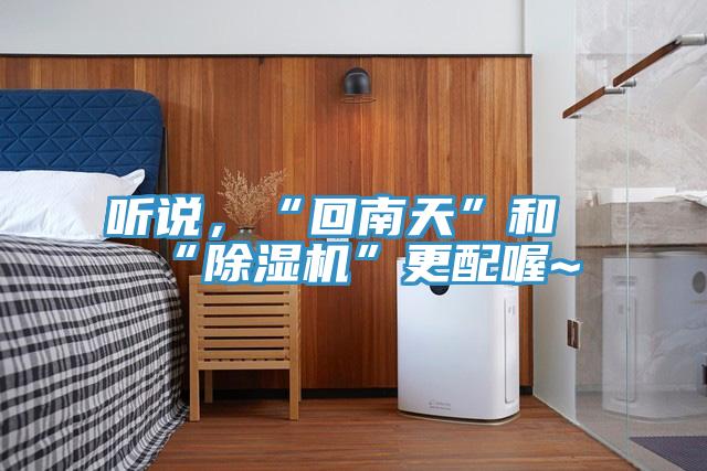 聽說，“回南天”和“除濕機”更配喔~
