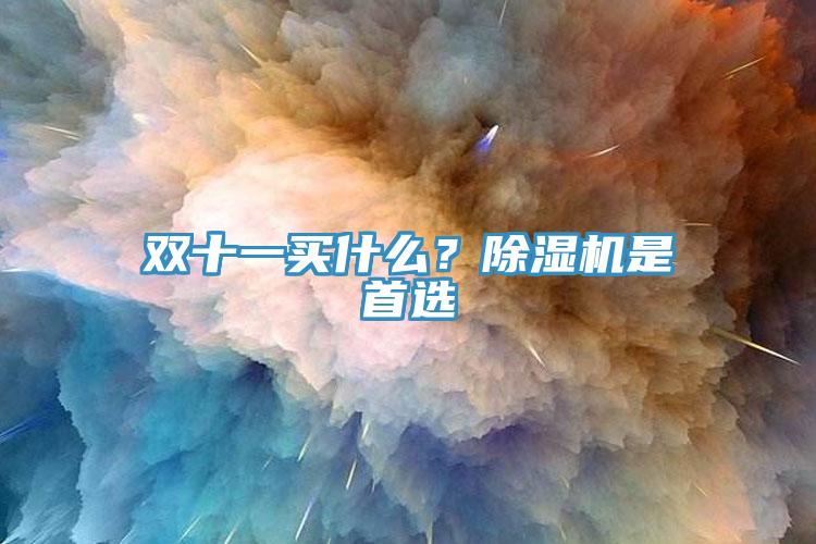 雙十一買什么?除濕機是首選