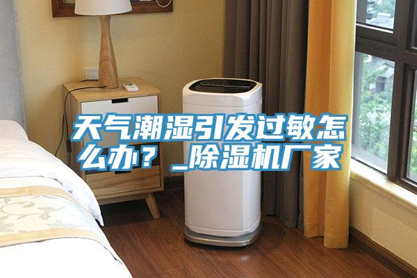 天氣潮濕引發過敏怎么辦?_除濕機廠家
