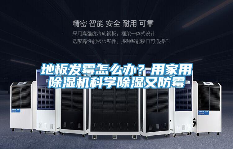 地板發霉怎么辦?用家用除濕機科學除濕又防霉