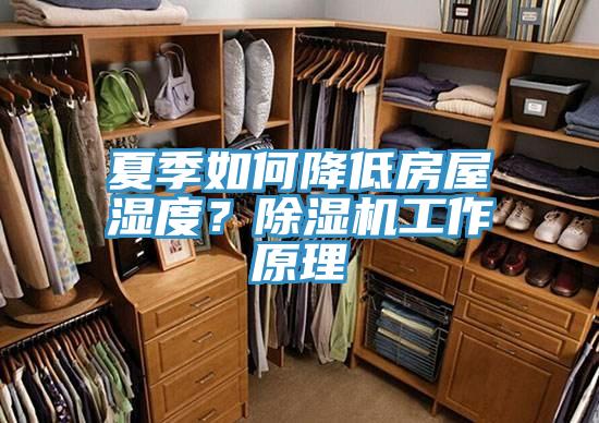 夏季如何降低房屋濕度？除濕機工作原理