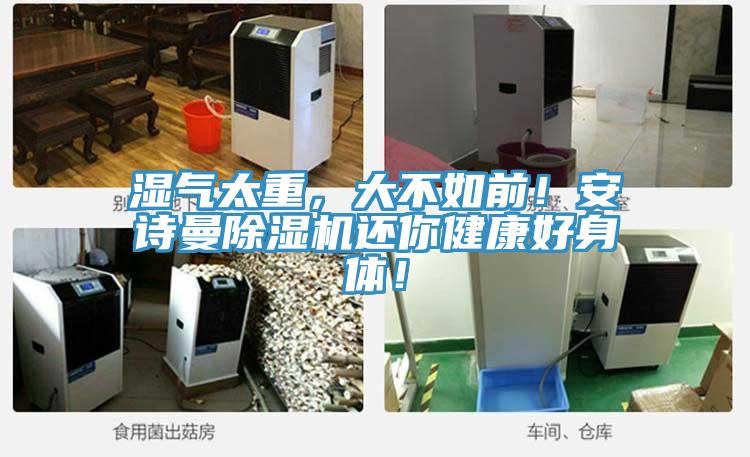 濕氣太重，大不如前！安詩曼除濕機還你健康好身體！