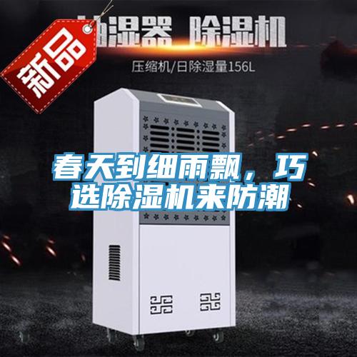 春天到細雨飄,巧選除濕機來防潮