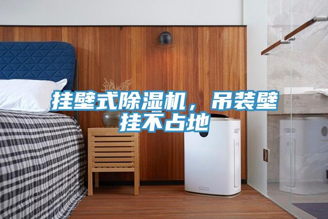 掛壁式除濕機，吊裝壁掛不占地