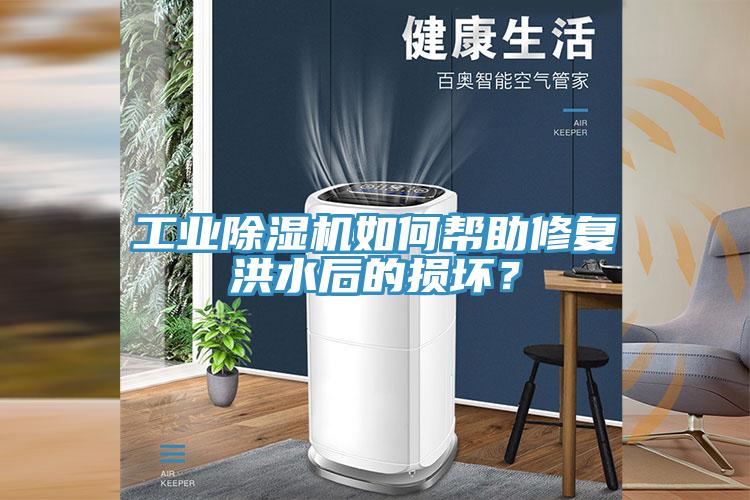 工業除濕機如何幫助修復洪水后的損壞?