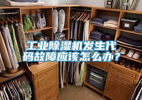 工業(yè)除濕機發(fā)生代碼故障應(yīng)該怎么辦?