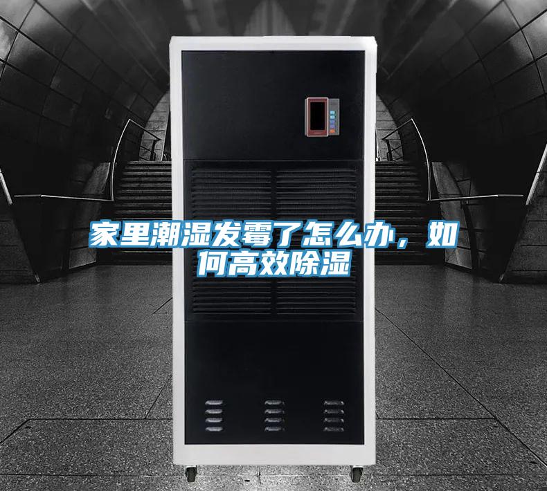 家里潮濕發霉了怎么辦,如何高效除濕