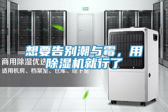 想要告別潮與霉，用除濕機就行了