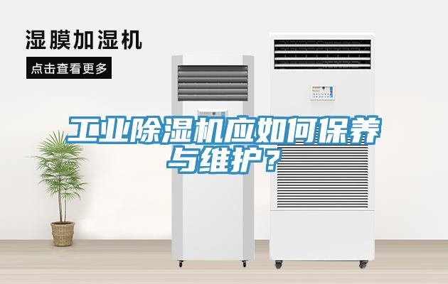 工業(yè)除濕機(jī)應(yīng)如何保養(yǎng)與維護(hù)?