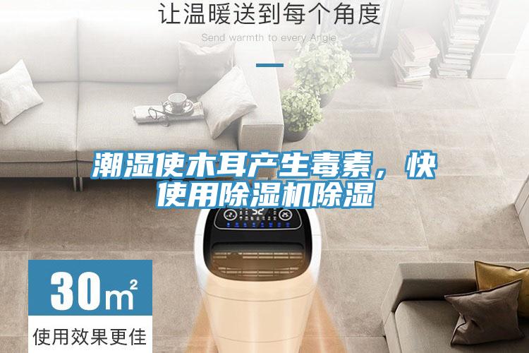 潮濕使木耳產生毒素，快使用除濕機除濕