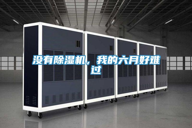沒有除濕機(jī),我的六月好難過