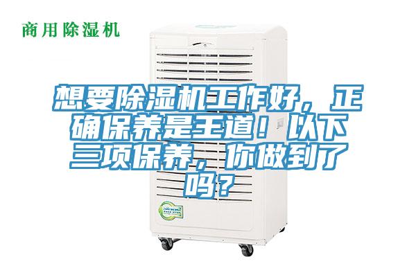 想要除濕機工作好,正確保養是王道!以下三項保養,你做到了嗎?