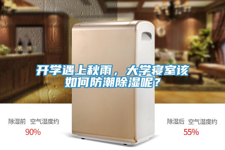 開學遇上秋雨,大學寢室該如何防潮除濕呢?