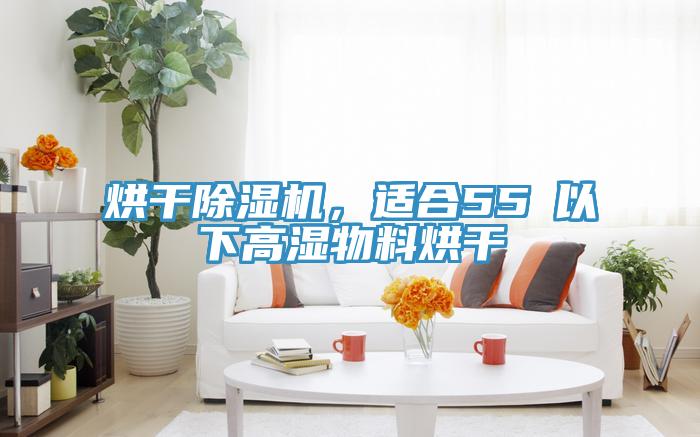 烘干除濕機,適合55℃以下高濕物料烘干