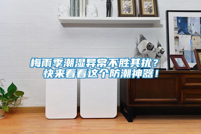 梅雨季潮濕異常不勝其擾？ 快來(lái)看看這個(gè)防潮神器！