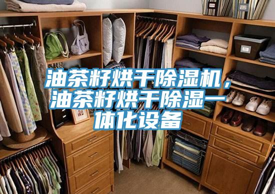 油茶籽烘干除濕機,油茶籽烘干除濕一體化設(shè)備