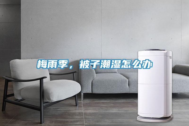 梅雨季，被子潮濕怎么辦