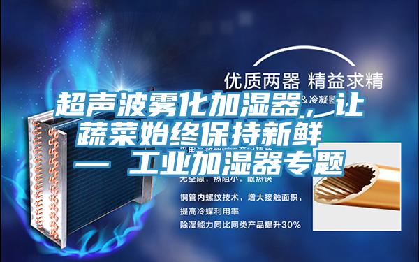 超聲波霧化加濕器，讓蔬菜始終保持新鮮 — 工業(yè)加濕器專(zhuān)題