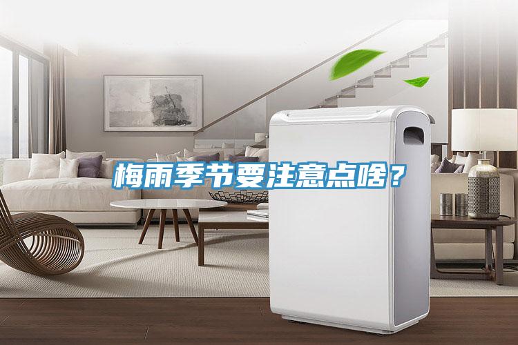 梅雨季節要注意點啥?