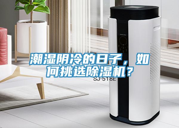 潮濕陰冷的日子，如何挑選除濕機？