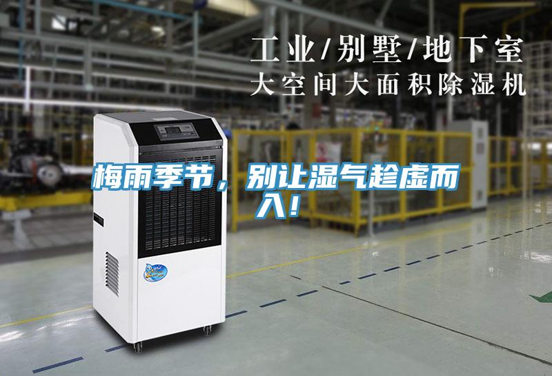 梅雨季節，別讓濕氣趁虛而入！