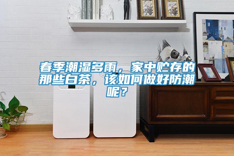 春季潮濕多雨,家中貯存的那些白茶,該如何做好防潮呢?