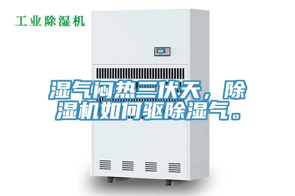 濕氣悶熱三伏天,除濕機如何驅除濕氣。